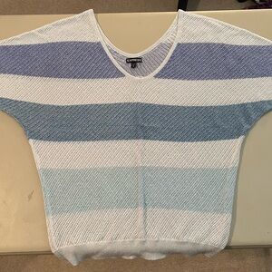 Express Blue and White Knit Top